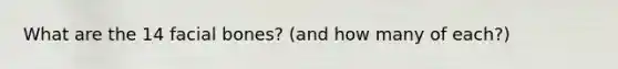 What are the 14 facial bones? (and how many of each?)