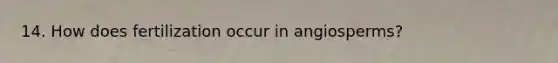14. How does fertilization occur in angiosperms?