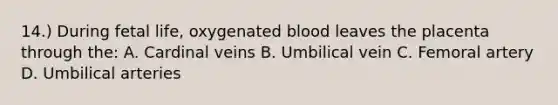 14.) During fetal life, oxygenated blood leaves the placenta through the: A. Cardinal veins B. Umbilical vein C. Femoral artery D. Umbilical arteries