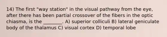 14) The first "way station" in the visual pathway from the eye, after there has been partial crossover of the fibers in the optic chiasma, is the ________. A) superior colliculi B) lateral geniculate body of the thalamus C) visual cortex D) temporal lobe