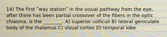 14) The first ʺway stationʺ in the visual pathway from the eye, after there has been partial crossover of the fibers in the optic chiasma, is the ________. A) superior colliculi B) lateral geniculate body of the thalamus C) visual cortex D) temporal lobe