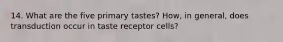 14. What are the five primary tastes? How, in general, does transduction occur in taste receptor cells?