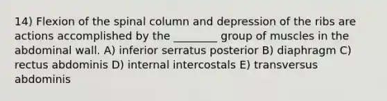 14) Flexion of the spinal column and depression of the ribs are actions accomplished by the ________ group of muscles in the abdominal wall. A) inferior serratus posterior B) diaphragm C) rectus abdominis D) internal intercostals E) transversus abdominis