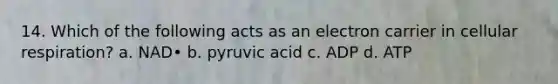 14. Which of the following acts as an electron carrier in <a href='https://www.questionai.com/knowledge/k1IqNYBAJw-cellular-respiration' class='anchor-knowledge'>cellular respiration</a>? a. NAD• b. pyruvic acid c. ADP d. ATP