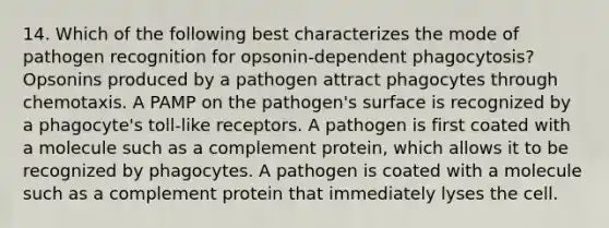 14. Which of the following best characterizes the mode of pathogen recognition for opsonin-dependent phagocytosis? Opsonins produced by a pathogen attract phagocytes through chemotaxis. A PAMP on the pathogen's surface is recognized by a phagocyte's toll-like receptors. A pathogen is first coated with a molecule such as a complement protein, which allows it to be recognized by phagocytes. A pathogen is coated with a molecule such as a complement protein that immediately lyses the cell.