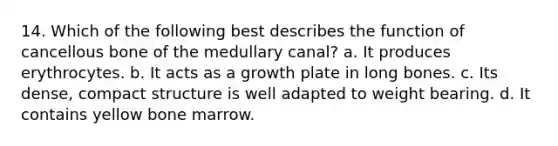 14. Which of the following best describes the function of cancellous bone of the medullary canal? a. It produces erythrocytes. b. It acts as a growth plate in long bones. c. Its dense, compact structure is well adapted to weight bearing. d. It contains yellow bone marrow.