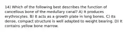 14) Which of the following best describes the function of cancellous bone of the medullary canal? A) It produces erythrocytes. B) It acts as a growth plate in long bones. C) Its dense, compact structure is well adapted to weight bearing. D) It contains yellow bone marrow.