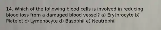 14. Which of the following blood cells is involved in reducing blood loss from a damaged blood vessel? a) Erythrocyte b) Platelet c) Lymphocyte d) Basophil e) Neutrophil