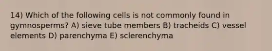 14) Which of the following cells is not commonly found in gymnosperms? A) sieve tube members B) tracheids C) vessel elements D) parenchyma E) sclerenchyma