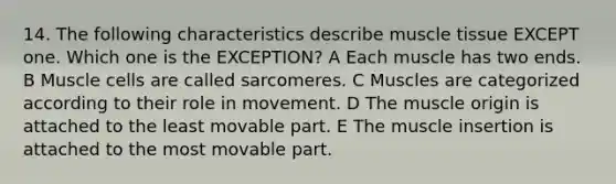 14. The following characteristics describe muscle tissue EXCEPT one. Which one is the EXCEPTION? A Each muscle has two ends. B Muscle cells are called sarcomeres. C Muscles are categorized according to their role in movement. D The muscle origin is attached to the least movable part. E The muscle insertion is attached to the most movable part.