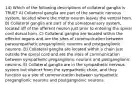 14) Which of the following descriptions of collateral ganglia is TRUE? A) Collateral ganglia are part of the somatic nervous system, located where the motor neuron leaves the ventral horn. B) Collateral ganglia are part of the somatosensory system, located off of the afferent neuron just prior to entering the spinal cord dorsal horn. C) Collateral ganglia are located within the effector organs and are the sites of communication between parasympathetic preganglionic neurons and postganglionic neurons. D) Collateral ganglia are located within a chain just outside the spinal cord and are the sites of communication between sympathetic preganglionic neurons and postganglionic neurons. E) Collateral ganglia are in the sympathetic nervous system but distinct from the sympathetic chain, and they function as a site of communication between sympathetic preganglionic neurons and postganglionic neurons.