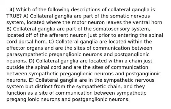 14) Which of the following descriptions of collateral ganglia is TRUE? A) Collateral ganglia are part of the somatic nervous system, located where the motor neuron leaves the ventral horn. B) Collateral ganglia are part of the somatosensory system, located off of the afferent neuron just prior to entering the spinal cord dorsal horn. C) Collateral ganglia are located within the effector organs and are the sites of communication between parasympathetic preganglionic neurons and postganglionic neurons. D) Collateral ganglia are located within a chain just outside the spinal cord and are the sites of communication between sympathetic preganglionic neurons and postganglionic neurons. E) Collateral ganglia are in the sympathetic nervous system but distinct from the sympathetic chain, and they function as a site of communication between sympathetic preganglionic neurons and postganglionic neurons.