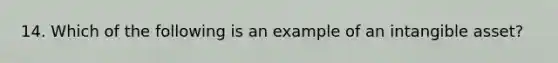 14. Which of the following is an example of an intangible asset?