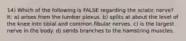 14) Which of the following is FALSE regarding the sciatic nerve? It: a) arises from the lumbar plexus. b) splits at about the level of the knee into tibial and common fibular nerves. c) is the largest nerve in the body. d) sends branches to the hamstring muscles.