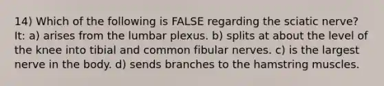 14) Which of the following is FALSE regarding the sciatic nerve? It: a) arises from the lumbar plexus. b) splits at about the level of the knee into tibial and common fibular nerves. c) is the largest nerve in the body. d) sends branches to the hamstring muscles.