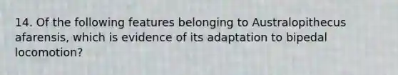 14. Of the following features belonging to Australopithecus afarensis, which is evidence of its adaptation to bipedal locomotion?