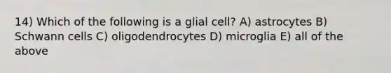 14) Which of the following is a glial cell? A) astrocytes B) Schwann cells C) oligodendrocytes D) microglia E) all of the above