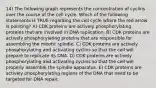 14) The following graph represents the concentration of cyclins over the course of the cell cycle. Which of the following statements is TRUE regarding the cell cycle where the red arrow is pointing? A) CDK proteins are actively phosphorylating proteins that are involved in DNA replication. B) CDK proteins are actively phosphorylating proteins that are responsible for assembling the mitotic spindle. C) CDK proteins are actively phosphorylating and activating cyclins so that the cell will prepare to replicate its DNA. D) CDK proteins are actively phosphorylating and activating cyclins so that the cell will properly assemble the spindle apparatus. E) CDK proteins are actively phosphorylating regions of the DNA that need to be targeted for DNA repair.