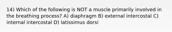 14) Which of the following is NOT a muscle primarily involved in the breathing process? A) diaphragm B) external intercostal C) internal intercostal D) latissimus dorsi