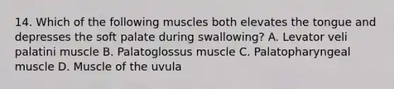 14. Which of the following muscles both elevates the tongue and depresses the soft palate during swallowing? A. Levator veli palatini muscle B. Palatoglossus muscle C. Palatopharyngeal muscle D. Muscle of the uvula