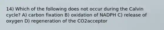 14) Which of the following does not occur during the Calvin cycle? A) carbon fixation B) oxidation of NADPH C) release of oxygen D) regeneration of the CO2acceptor