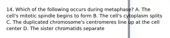 14. Which of the following occurs during metaphase? A. The cell's mitotic spindle begins to form B. The cell's cytoplasm splits C. The duplicated chromosome's centromeres line up at the cell center D. The sister chromatids separate