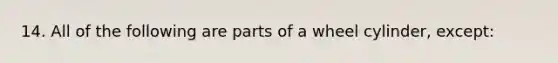 14. All of the following are parts of a wheel cylinder, except: