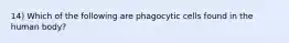 14) Which of the following are phagocytic cells found in the human body?