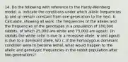 14. Do the following with reference to the Hardy-Weinberg model. a. Indicate the conditions under which allelic frequencies (p and q) remain constant from one generation to the next. b. Calculate, showing all work, the frequencies of the alleles and the frequencies of the genotypes in a population of 100,000 rabbits, of which 25,000 are white and 75,000 are agouti. (In rabbits the white color is due to a recessive allele, w and agouti is due to a dominant allele, W.) c. If the homozygous dominant condition were to become lethal, what would happen to the allelic and genotypic frequencies in the rabbit population after two generations?