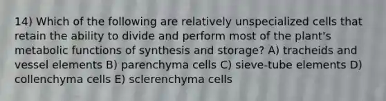 14) Which of the following are relatively unspecialized cells that retain the ability to divide and perform most of the plant's metabolic functions of synthesis and storage? A) tracheids and vessel elements B) parenchyma cells C) sieve-tube elements D) collenchyma cells E) sclerenchyma cells