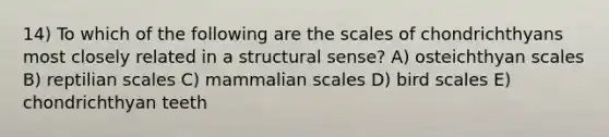 14) To which of the following are the scales of chondrichthyans most closely related in a structural sense? A) osteichthyan scales B) reptilian scales C) mammalian scales D) bird scales E) chondrichthyan teeth