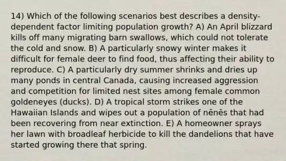 14) Which of the following scenarios best describes a density-dependent factor limiting population growth? A) An April blizzard kills off many migrating barn swallows, which could not tolerate the cold and snow. B) A particularly snowy winter makes it difficult for female deer to find food, thus affecting their ability to reproduce. C) A particularly dry summer shrinks and dries up many ponds in central Canada, causing increased aggression and competition for limited nest sites among female common goldeneyes (ducks). D) A tropical storm strikes one of the <a href='https://www.questionai.com/knowledge/koWPxV5SxU-hawaiian-islands' class='anchor-knowledge'>hawaiian islands</a> and wipes out a population of nēnēs that had been recovering from near extinction. E) A homeowner sprays her lawn with broadleaf herbicide to kill the dandelions that have started growing there that spring.