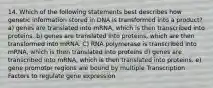 14. Which of the following statements best describes how genetic information stored in DNA is transformed into a product? a) genes are translated into mRNA, which is then transcribed into proteins. b) genes are translated into proteins, which are then transformed into mRNA. C) RNA polymerase is transcribed into mRNA, which is then translated into proteins d) genes are transcribed into mRNA, which is then translated into proteins. e) gene promotor regions are bound by multiple Transcription Factors to regulate gene expression