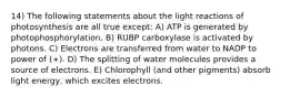 14) The following statements about the light reactions of photosynthesis are all true except: A) ATP is generated by photophosphorylation. B) RUBP carboxylase is activated by photons. C) Electrons are transferred from water to NADP to power of (+). D) The splitting of water molecules provides a source of electrons. E) Chlorophyll (and other pigments) absorb light energy, which excites electrons.