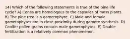 14) Which of the following statements is true of the pine life cycle? A) Cones are homologous to the capsules of moss plants. B) The pine tree is a gametophyte. C) Male and female gametophytes are in close proximity during gamete synthesis. D) Conifer pollen grains contain male gametophytes. E) Double fertilization is a relatively common phenomenon.