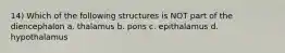 14) Which of the following structures is NOT part of the diencephalon a. thalamus b. pons c. epithalamus d. hypothalamus