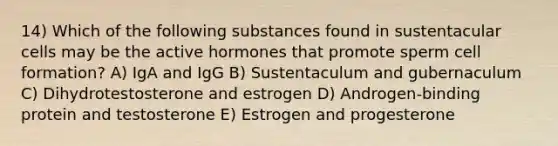 14) Which of the following substances found in sustentacular cells may be the active hormones that promote sperm cell formation? A) IgA and IgG B) Sustentaculum and gubernaculum C) Dihydrotestosterone and estrogen D) Androgen-binding protein and testosterone E) Estrogen and progesterone