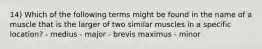 14) Which of the following terms might be found in the name of a muscle that is the larger of two similar muscles in a specific location? - medius - major - brevis maximus - minor