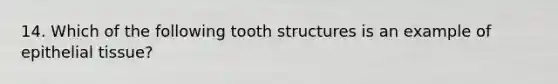 14. Which of the following tooth structures is an example of epithelial tissue?