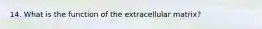 14. What is the function of the extracellular matrix?