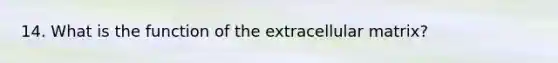 14. What is the function of the extracellular matrix?