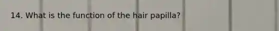 14. What is the function of the hair papilla?