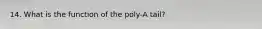 14. What is the function of the poly-A tail?