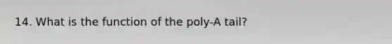 14. What is the function of the poly-A tail?