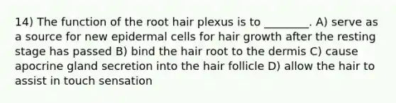 14) The function of the root hair plexus is to ________. A) serve as a source for new epidermal cells for hair growth after the resting stage has passed B) bind the hair root to the dermis C) cause apocrine gland secretion into the hair follicle D) allow the hair to assist in touch sensation