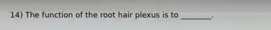 14) The function of the root hair plexus is to ________.