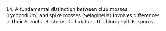 14. A fundamental distinction between club mosses (Lycopodium) and spike mosses (Selaginella) involves differences in their A. roots. B. stems. C. habitats. D. chlorophyll. E. spores.