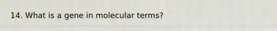 14. What is a gene in molecular terms?