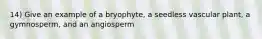 14) Give an example of a bryophyte, a seedless vascular plant, a gymnosperm, and an angiosperm