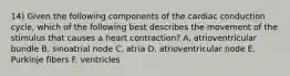 14) Given the following components of the cardiac conduction cycle, which of the following best describes the movement of the stimulus that causes a heart contraction? A. atrioventricular bundle B. sinoatrial node C. atria D. atrioventricular node E. Purkinje fibers F. ventricles